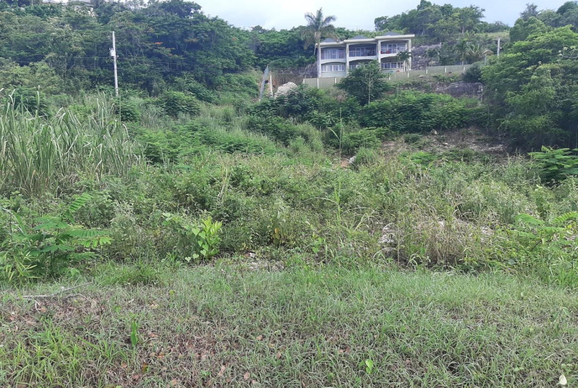 Twentieth image of 37- Spring Garden in Montego Bay, St. James, Jamaica - property is For Sale