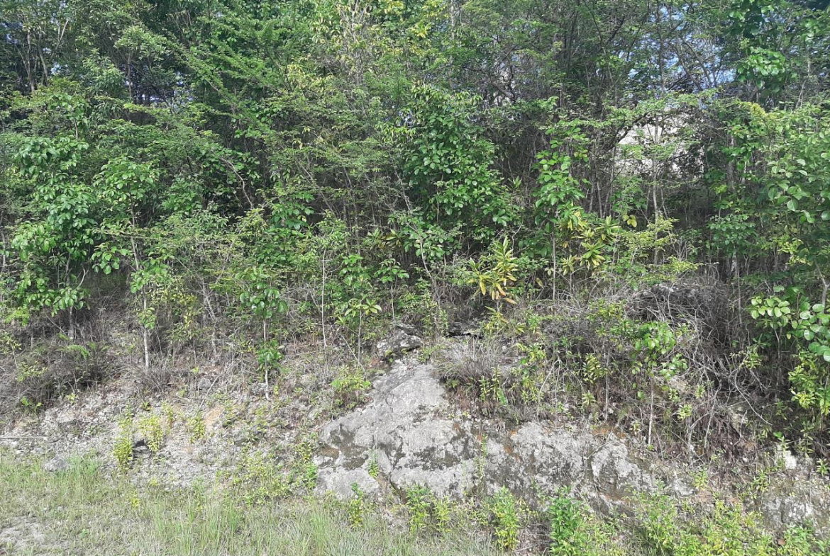 Twenty-First image of 37- Spring Garden in Montego Bay, St. James, Jamaica - property is For Sale