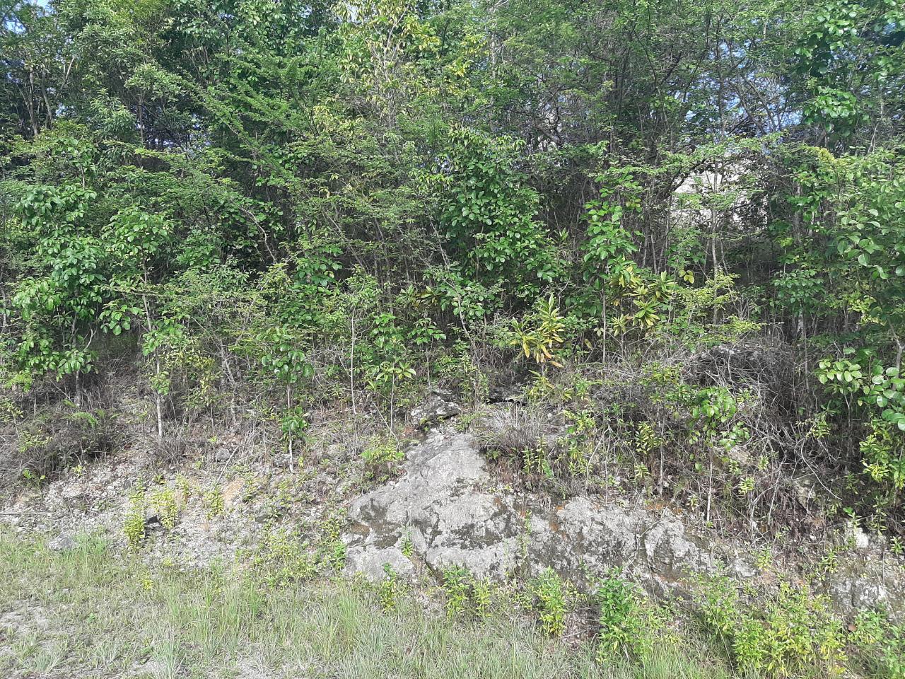 Ocean-View-Lot-for-Sale-in-Spring-Gardens-Montego-Bay Twenty-First image of 37- Spring Garden in Montego Bay, St. James, Jamaica - property is For Sale