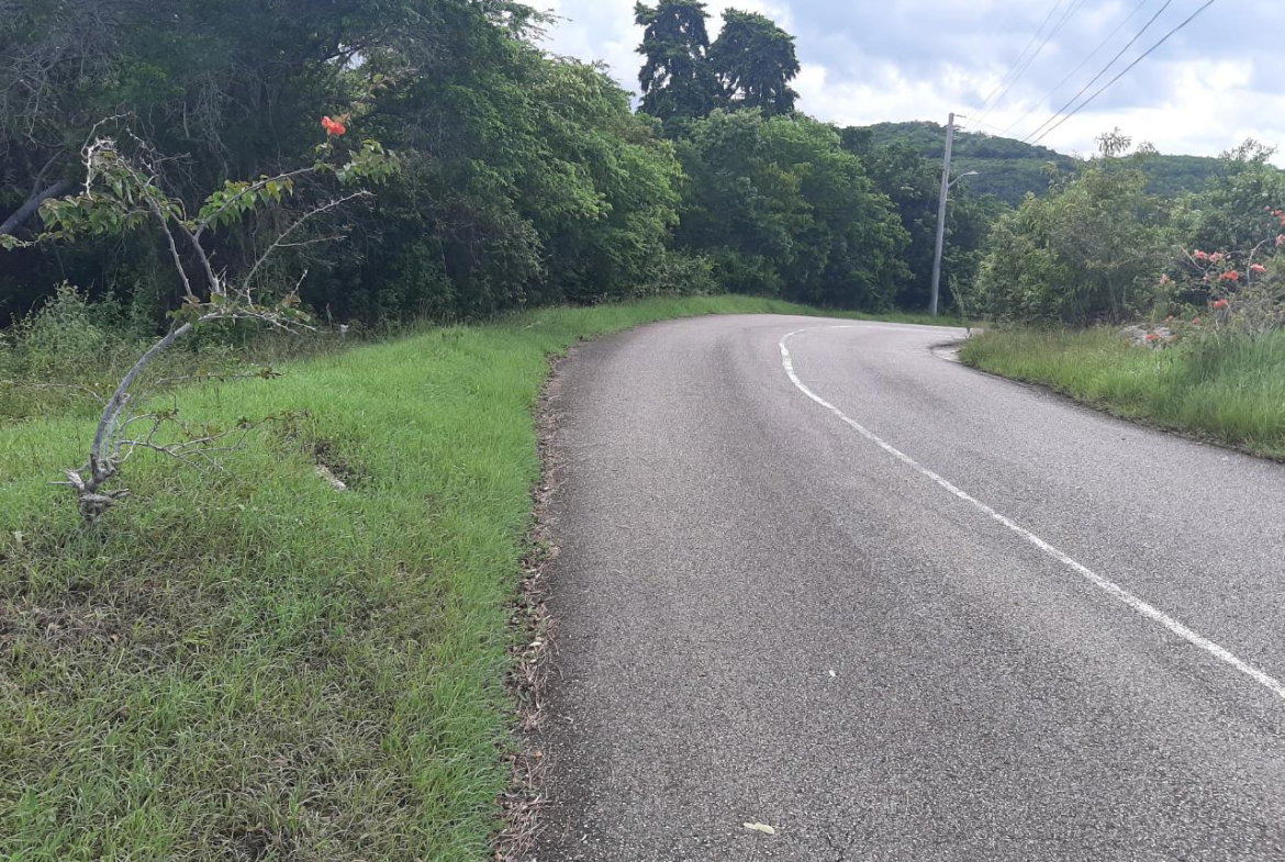 Twenty-Second image of 37- Spring Garden in Montego Bay, St. James, Jamaica - property is For Sale