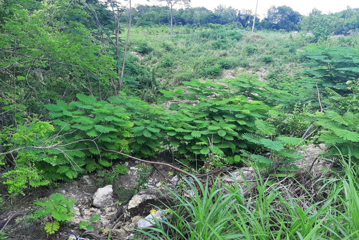 Twenty-Third image of 37- Spring Garden in Montego Bay, St. James, Jamaica - property is For Sale