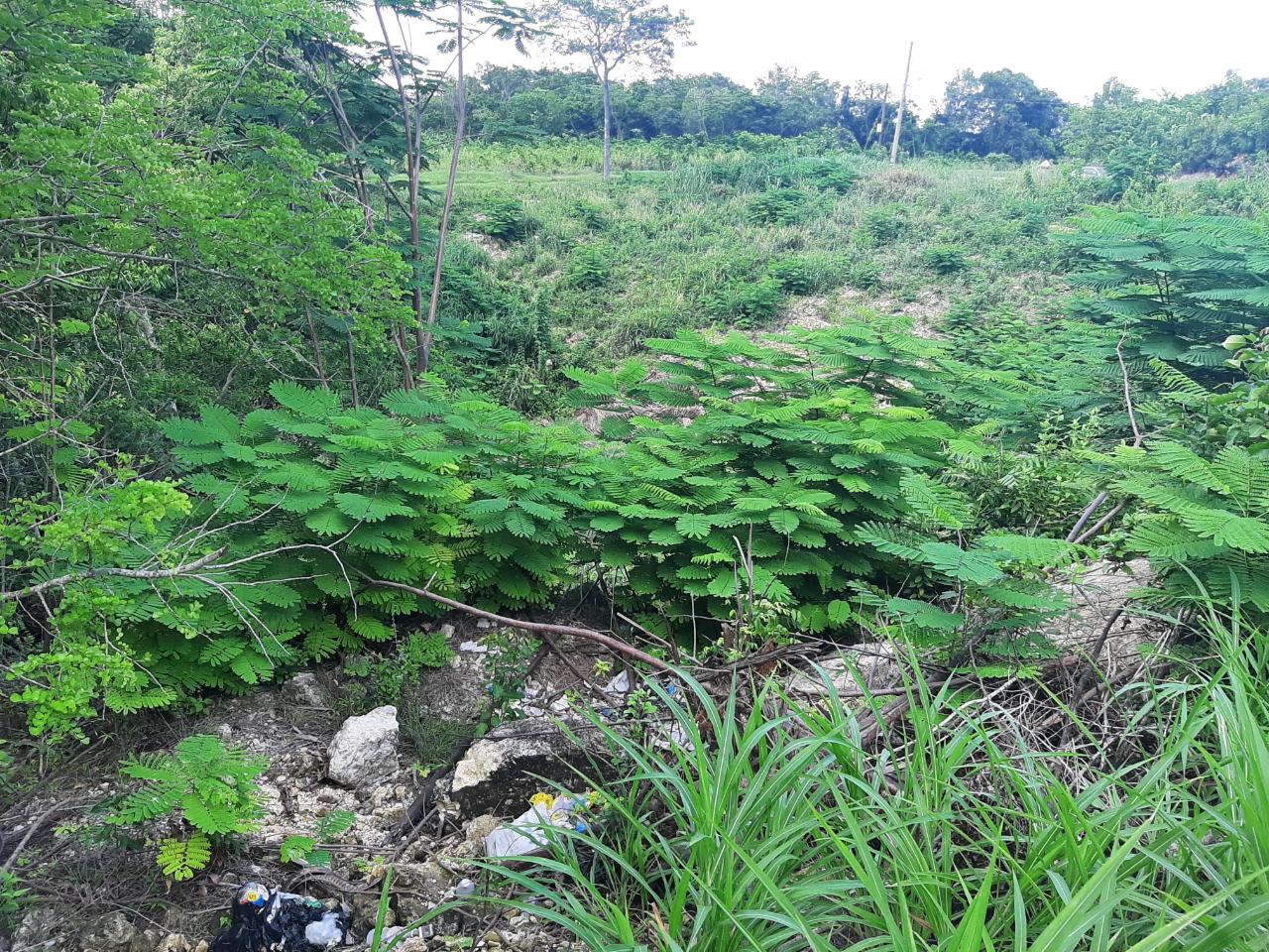 Ocean-View-Lot-for-Sale-in-Spring-Gardens-Montego-Bay Twenty-Third image of 37- Spring Garden in Montego Bay, St. James, Jamaica - property is For Sale