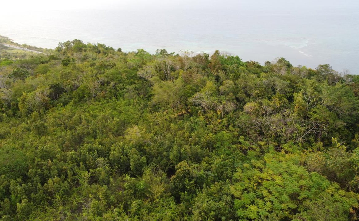 Twenty-Seventh image of 37- Spring Garden in Montego Bay, St. James, Jamaica - property is For Sale