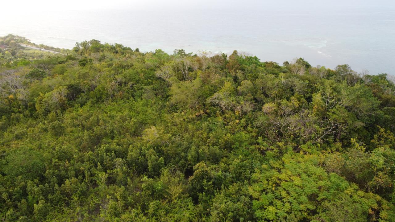 Ocean-View-Lot-for-Sale-in-Spring-Gardens-Montego-Bay Twenty-Seventh image of 37- Spring Garden in Montego Bay, St. James, Jamaica - property is For Sale