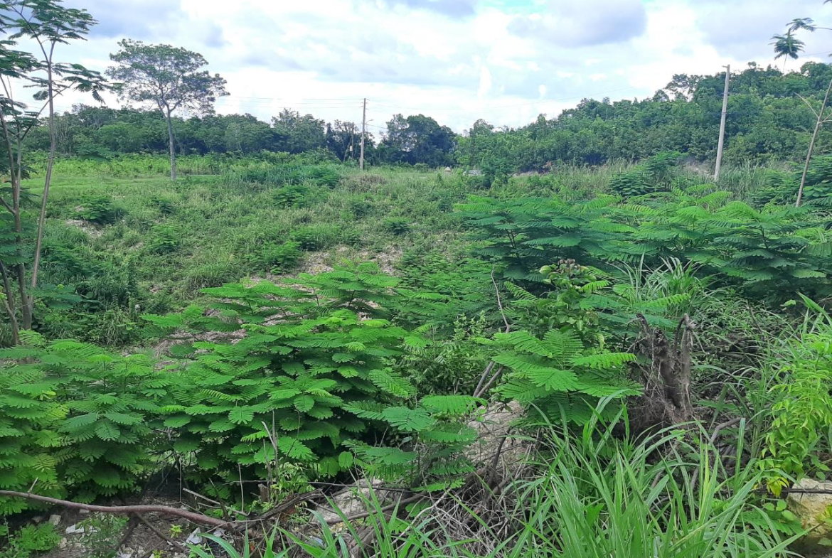 Fourth image of 37- Spring Garden in Montego Bay, St. James, Jamaica - property is For Sale