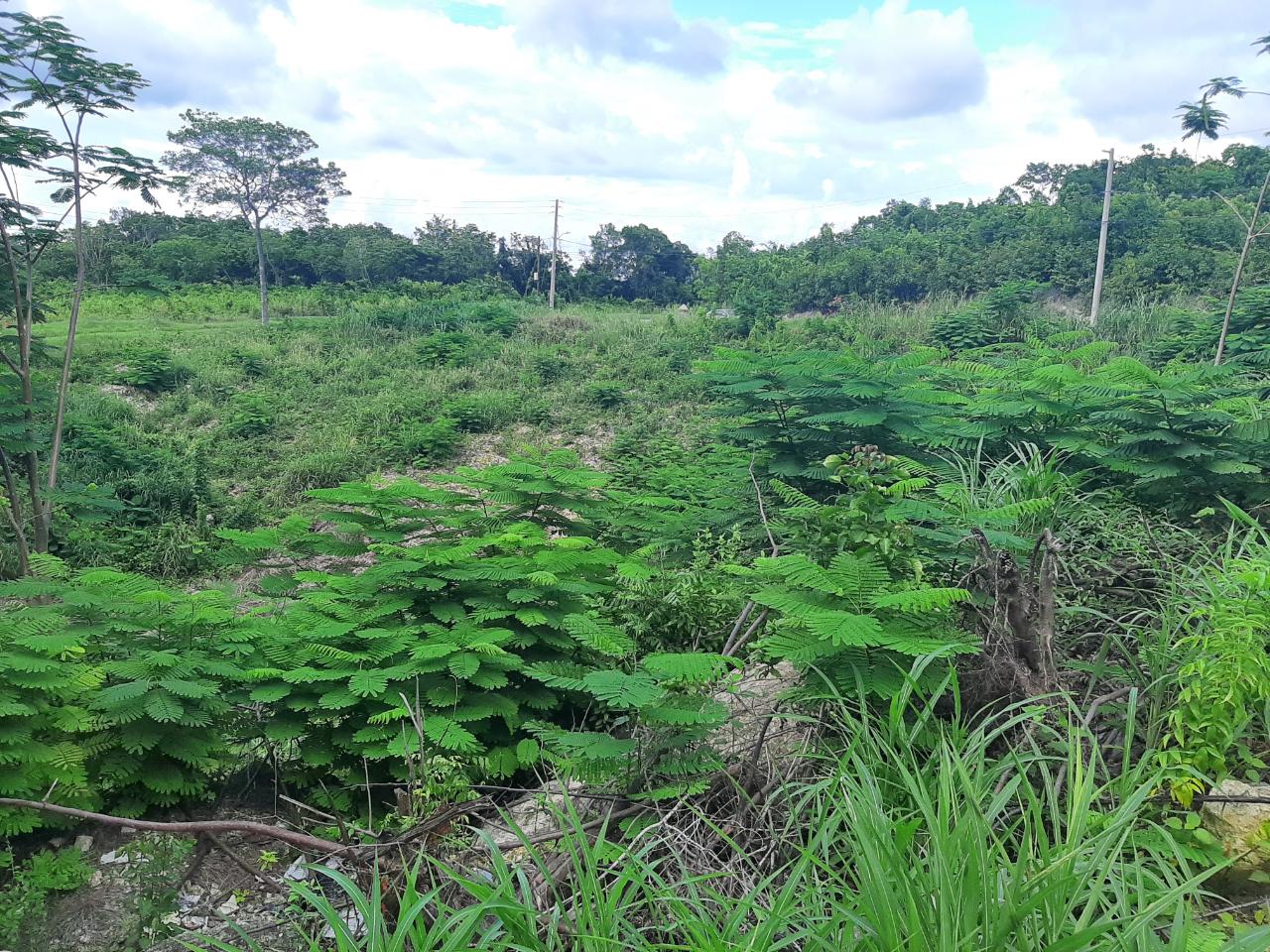 Ocean-View-Lot-for-Sale-in-Spring-Gardens-Montego-Bay Fourth image of 37- Spring Garden in Montego Bay, St. James, Jamaica - property is For Sale