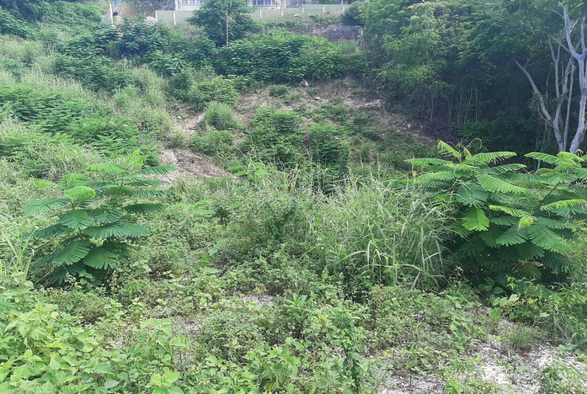 Sixth image of 37- Spring Garden in Montego Bay, St. James, Jamaica - property is For Sale