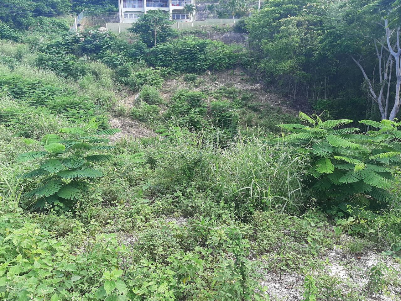 Ocean-View-Lot-for-Sale-in-Spring-Gardens-Montego-Bay Sixth image of 37- Spring Garden in Montego Bay, St. James, Jamaica - property is For Sale