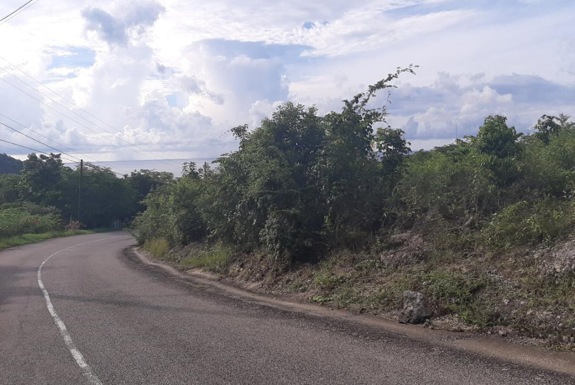 Seventh image of 37- Spring Garden in Montego Bay, St. James, Jamaica - property is For Sale