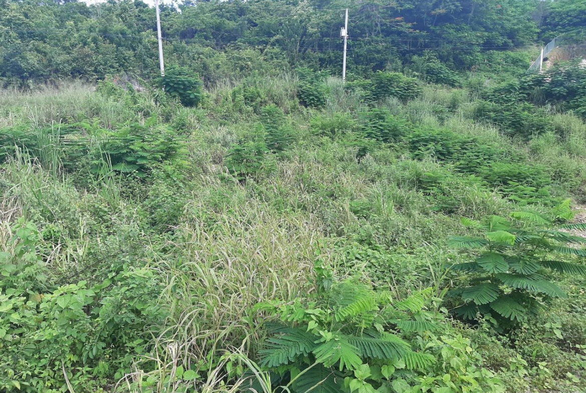 Eighth image of 37- Spring Garden in Montego Bay, St. James, Jamaica - property is For Sale