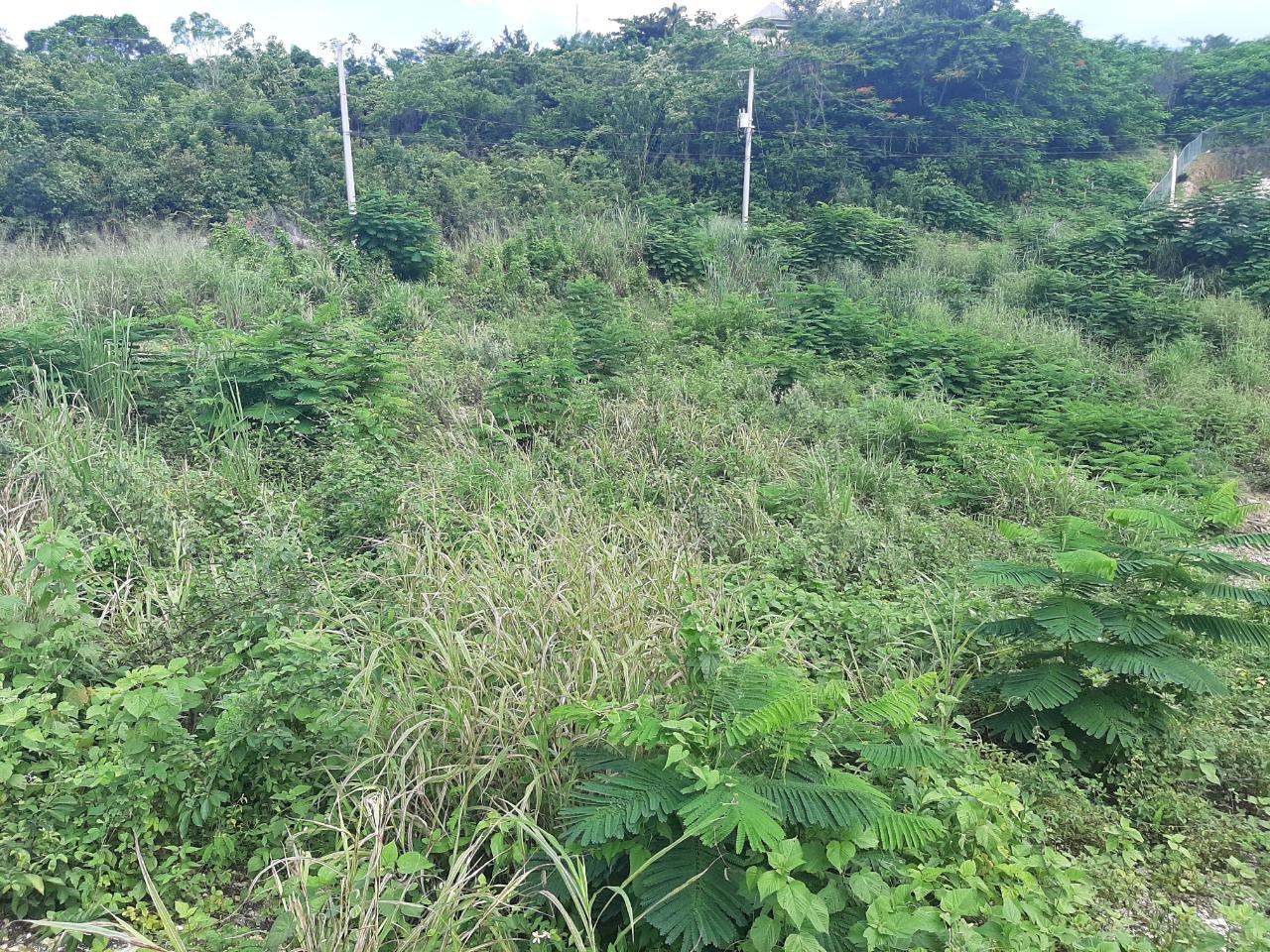 Ocean-View-Lot-for-Sale-in-Spring-Gardens-Montego-Bay Eighth image of 37- Spring Garden in Montego Bay, St. James, Jamaica - property is For Sale