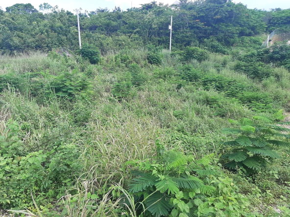 Eighth image of 37- Spring Garden in Montego Bay, St. James, Jamaica - property is For Sale