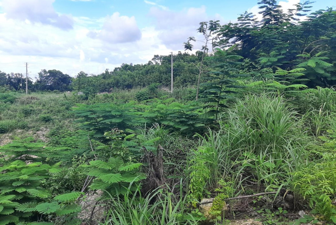 Ninth image of 37- Spring Garden in Montego Bay, St. James, Jamaica - property is For Sale