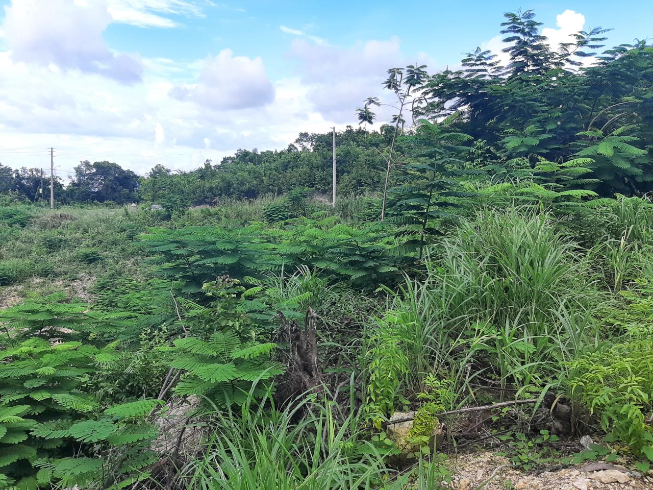 Ocean-View-Lot-for-Sale-in-Spring-Gardens-Montego-Bay Ninth image of 37- Spring Garden in Montego Bay, St. James, Jamaica - property is For Sale