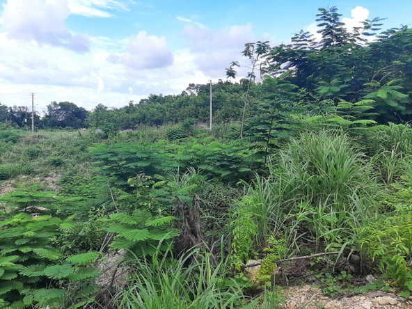 Ninth image of 37- Spring Garden in Montego Bay, St. James, Jamaica - property is For Sale