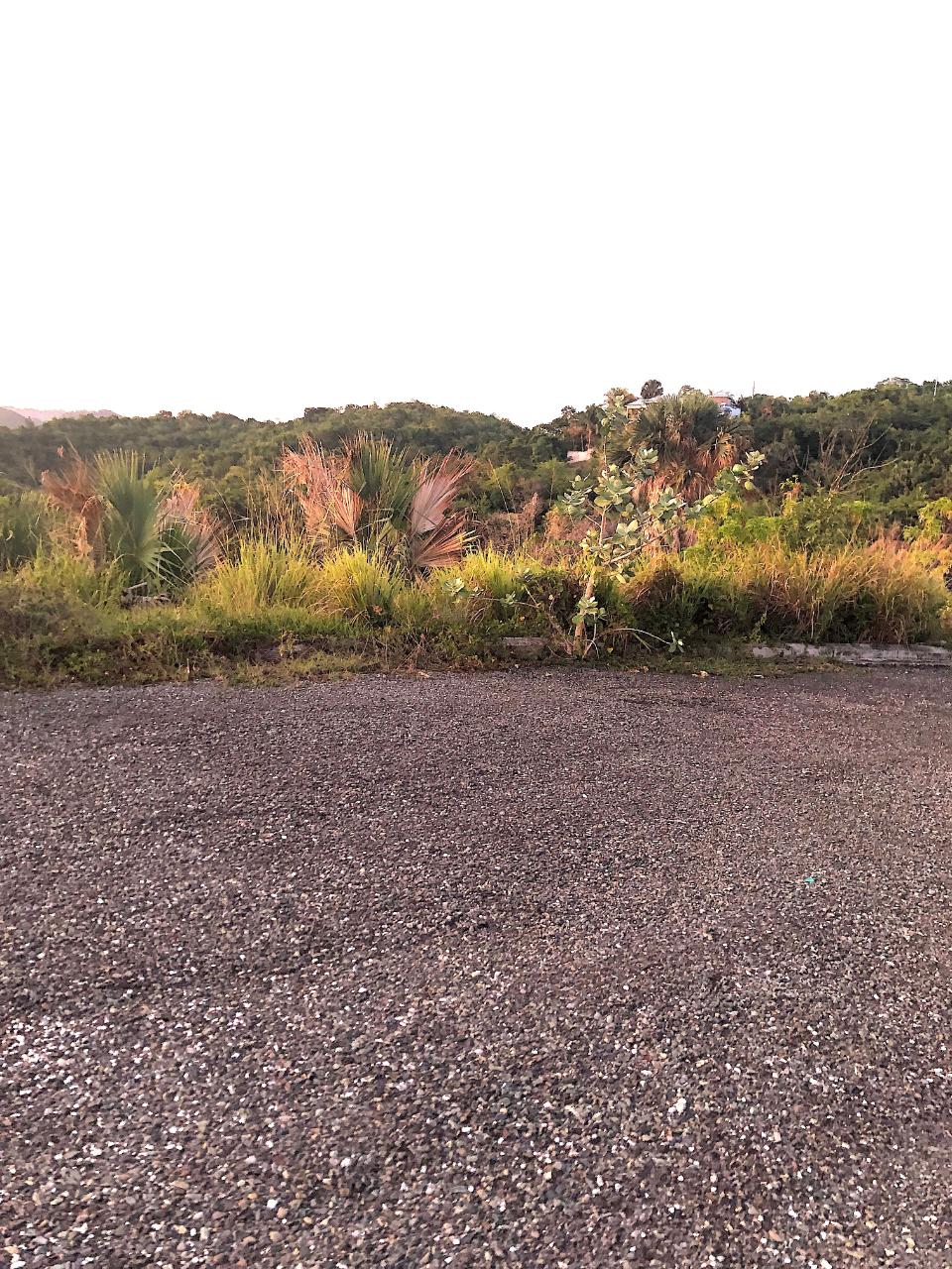 Eleventh image of Lot #343 Sunset Close, Culloden wh in White House WD, Westmoreland, Jamaica - property is For Sale
