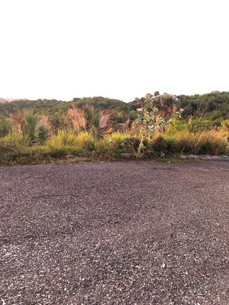 Eleventh image of Lot #343 Sunset Close, Culloden wh in White House WD, Westmoreland, Jamaica - property is For Sale