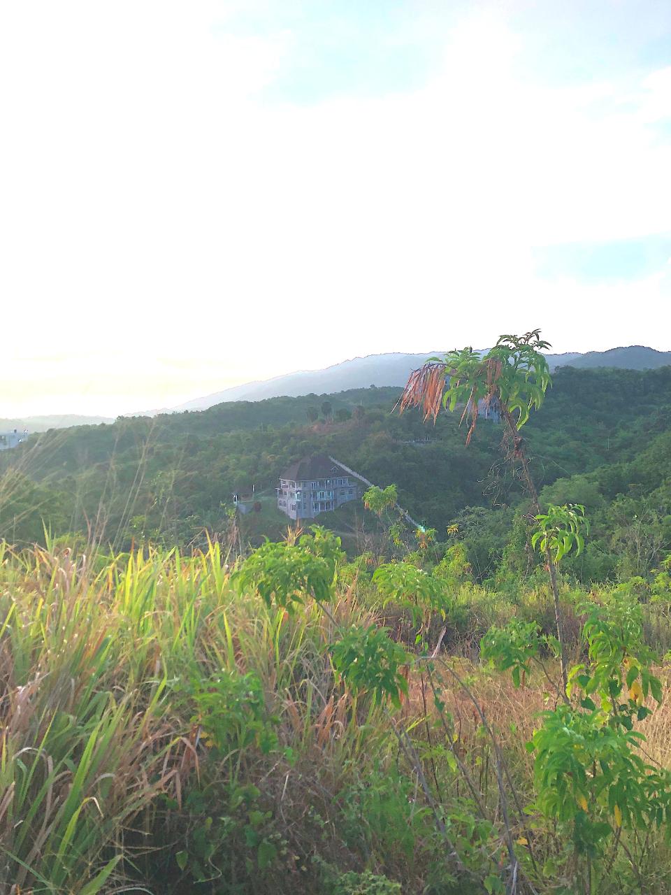 Eighth image of Lot #343 Sunset Close, Culloden wh in White House WD, Westmoreland, Jamaica - property is For Sale