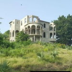 First image of Lot 168 Culloden, Whitehouse in WHITEHOUSE, Westmoreland, Jamaica - property is For Sale