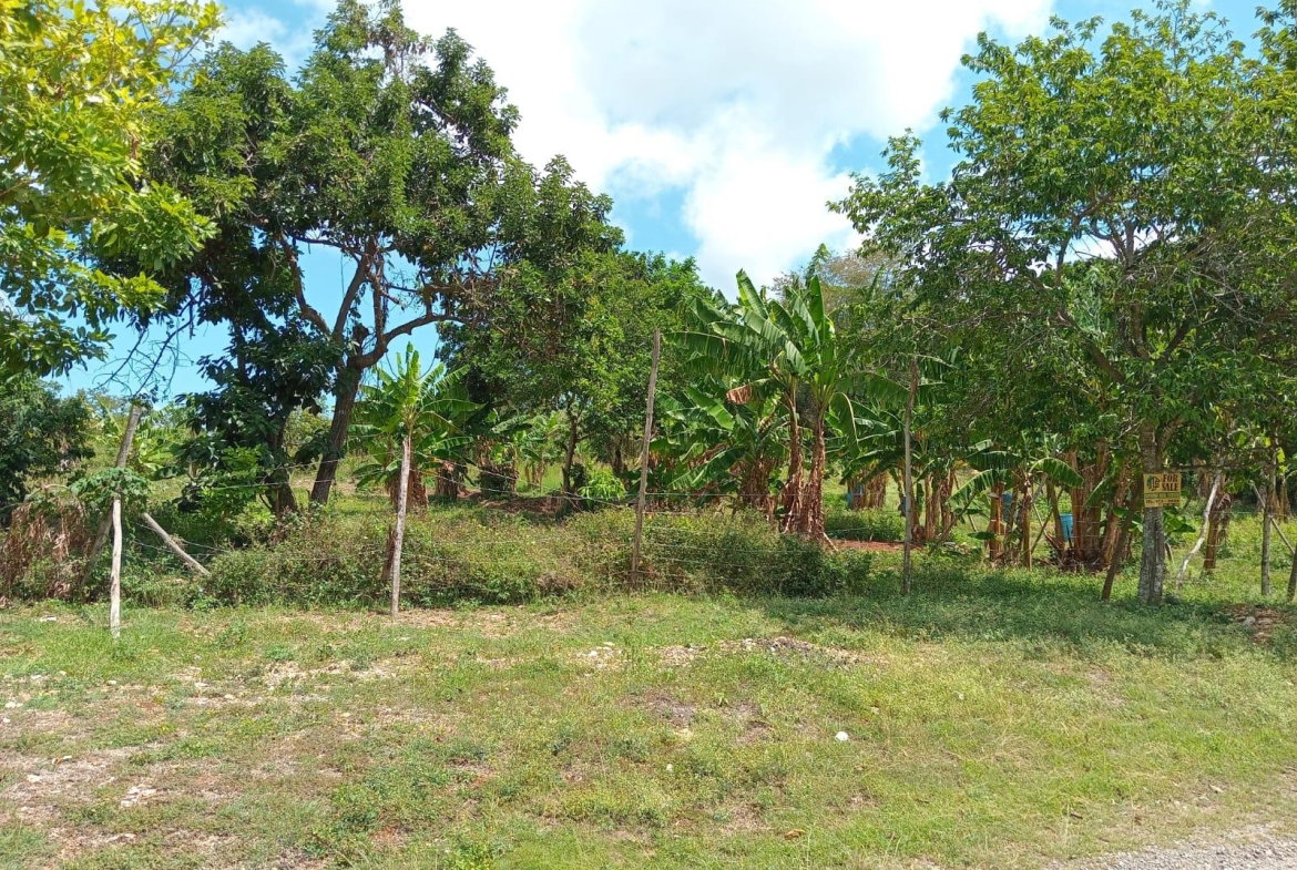 Fourth image of Lot 139 Queenhythe, Discovery Bay in Discovery Bay, St. Ann, Jamaica - property is For Sale
