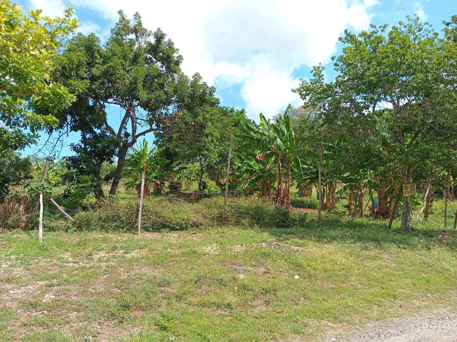 Fourth image of Lot 139 Queenhythe, Discovery Bay in Discovery Bay, St. Ann, Jamaica - property is For Sale