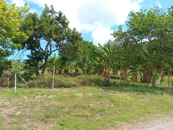 Fourth image of Lot 139 Queenhythe, Discovery Bay in Discovery Bay, St. Ann, Jamaica - property is For Sale