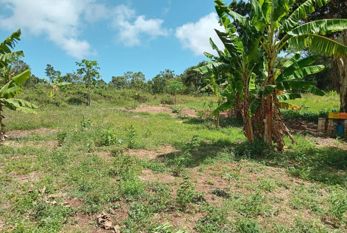Sixth image of Lot 139 Queenhythe, Discovery Bay in Discovery Bay, St. Ann, Jamaica - property is For Sale