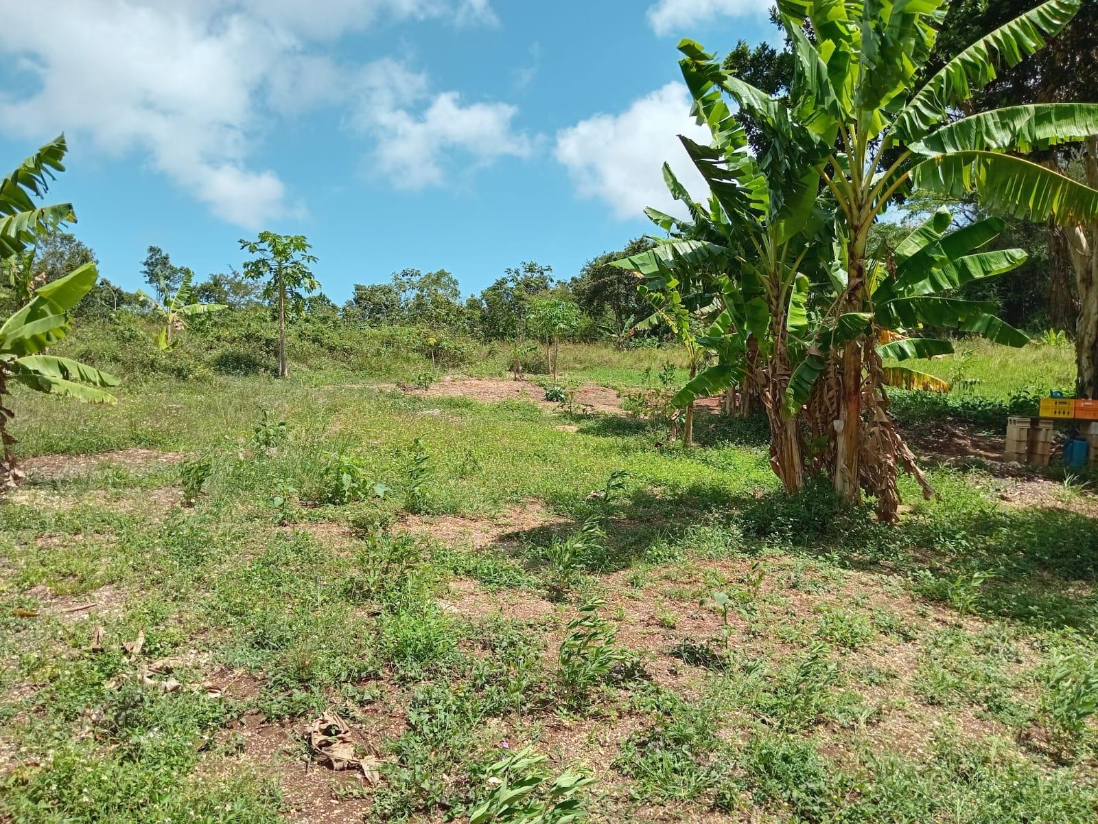 Sixth image of Lot 139 Queenhythe, Discovery Bay in Discovery Bay, St. Ann, Jamaica - property is For Sale
