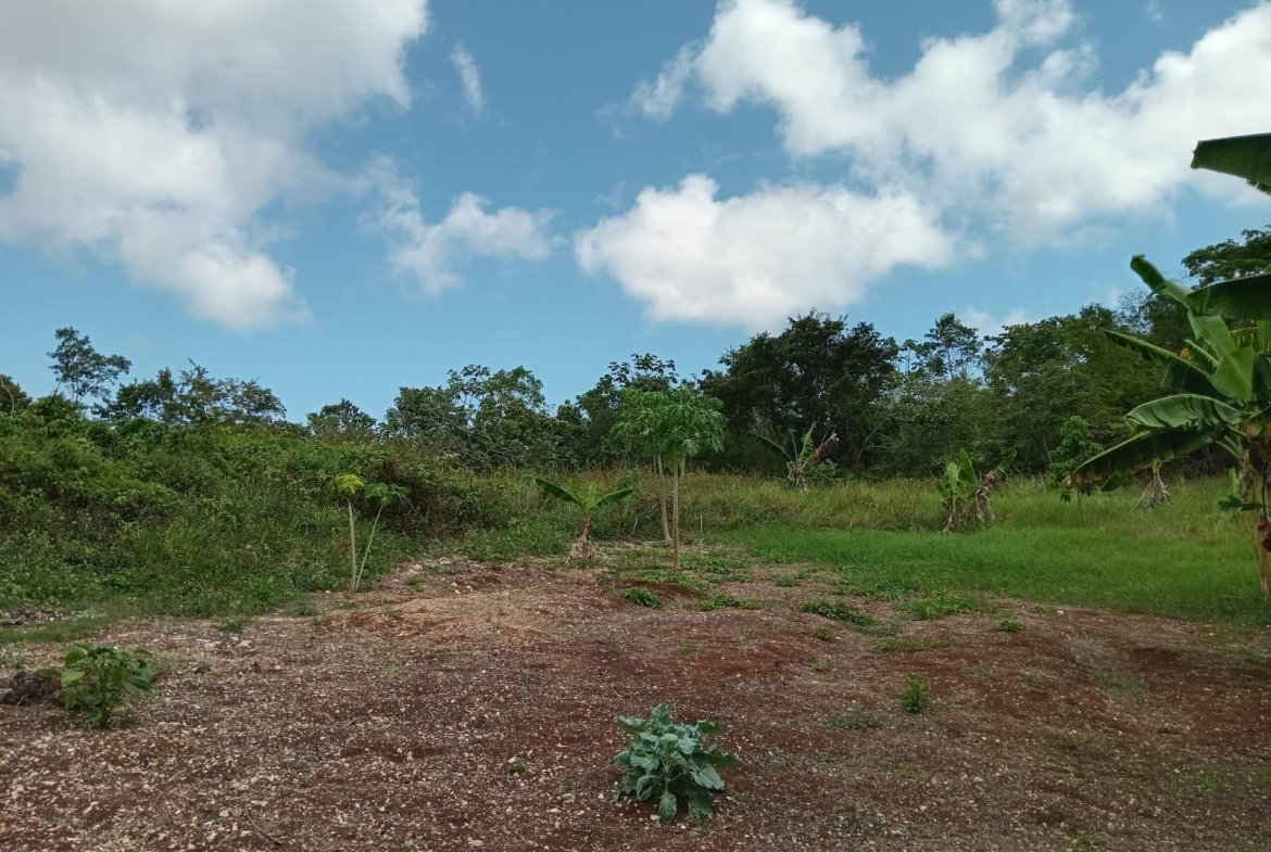 Seventh image of Lot 139 Queenhythe, Discovery Bay in Discovery Bay, St. Ann, Jamaica - property is For Sale