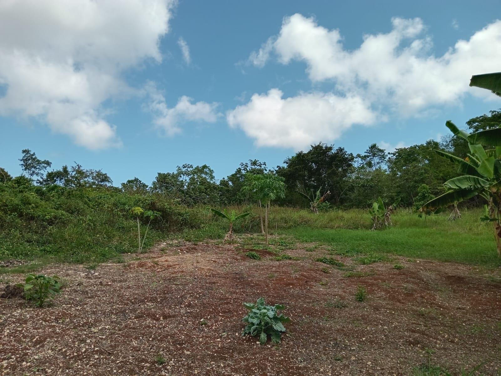 Seventh image of Lot 139 Queenhythe, Discovery Bay in Discovery Bay, St. Ann, Jamaica - property is For Sale