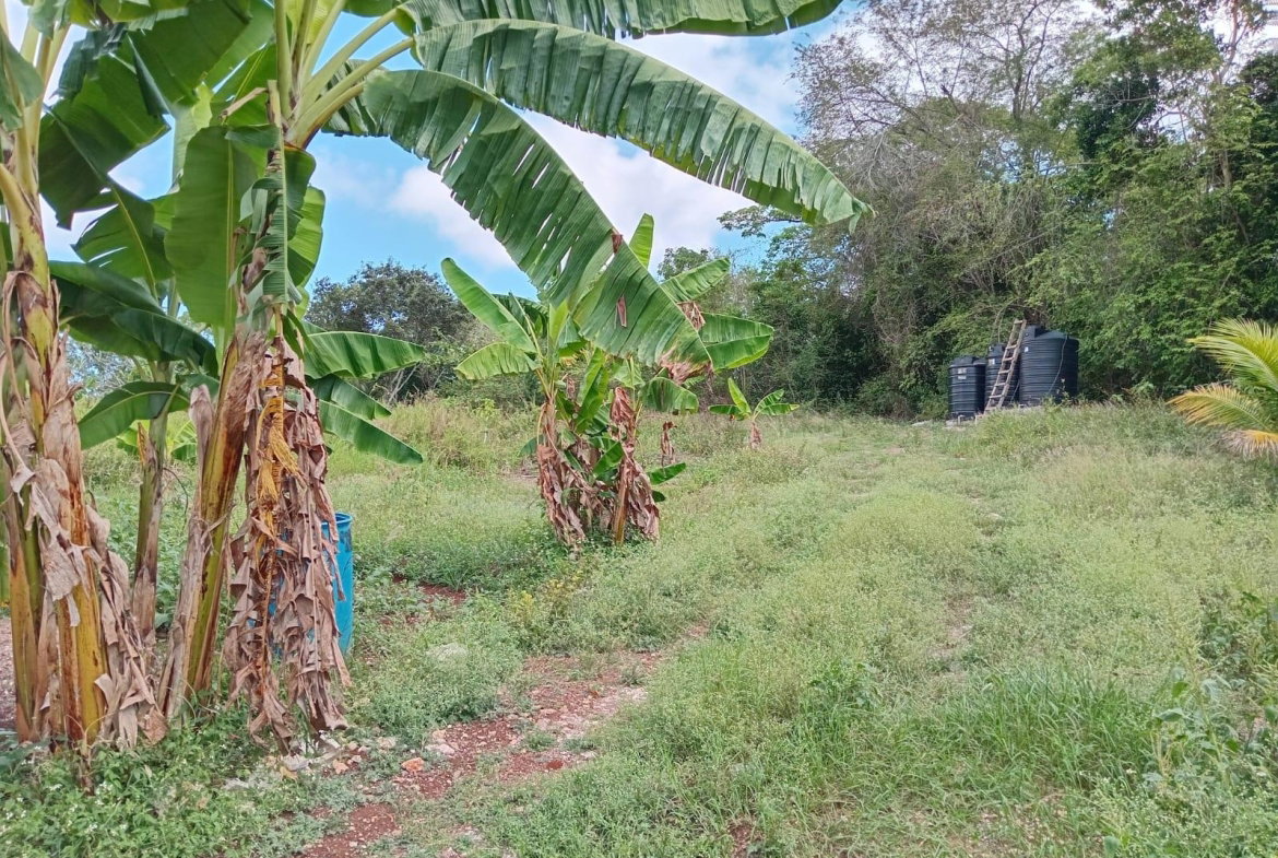 Eighth image of Lot 139 Queenhythe, Discovery Bay in Discovery Bay, St. Ann, Jamaica - property is For Sale