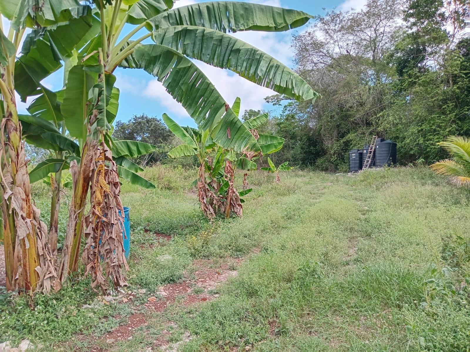 Eighth image of Lot 139 Queenhythe, Discovery Bay in Discovery Bay, St. Ann, Jamaica - property is For Sale
