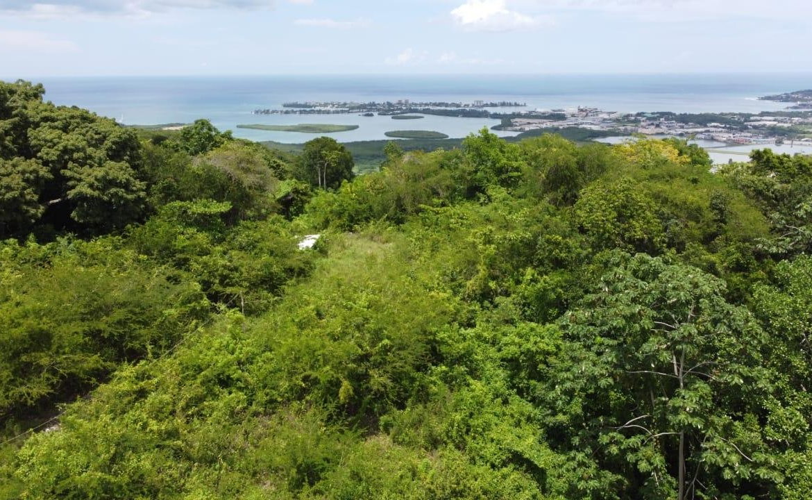 Ninth image of Ramble Hill in Montego Bay, St. James, Jamaica - property is For Sale