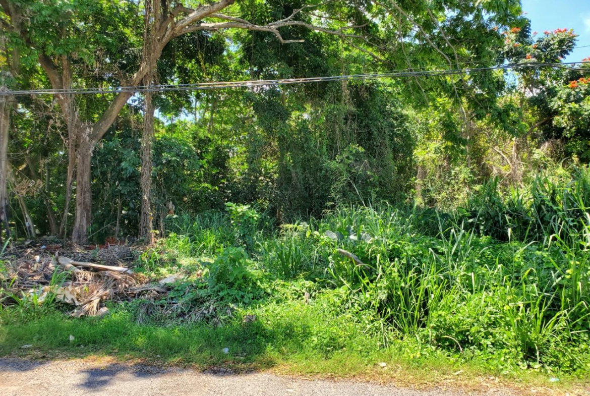 Second image of Pimento Drive, Balmoral in Tower Isle, St. Mary, Jamaica - property is For Sale