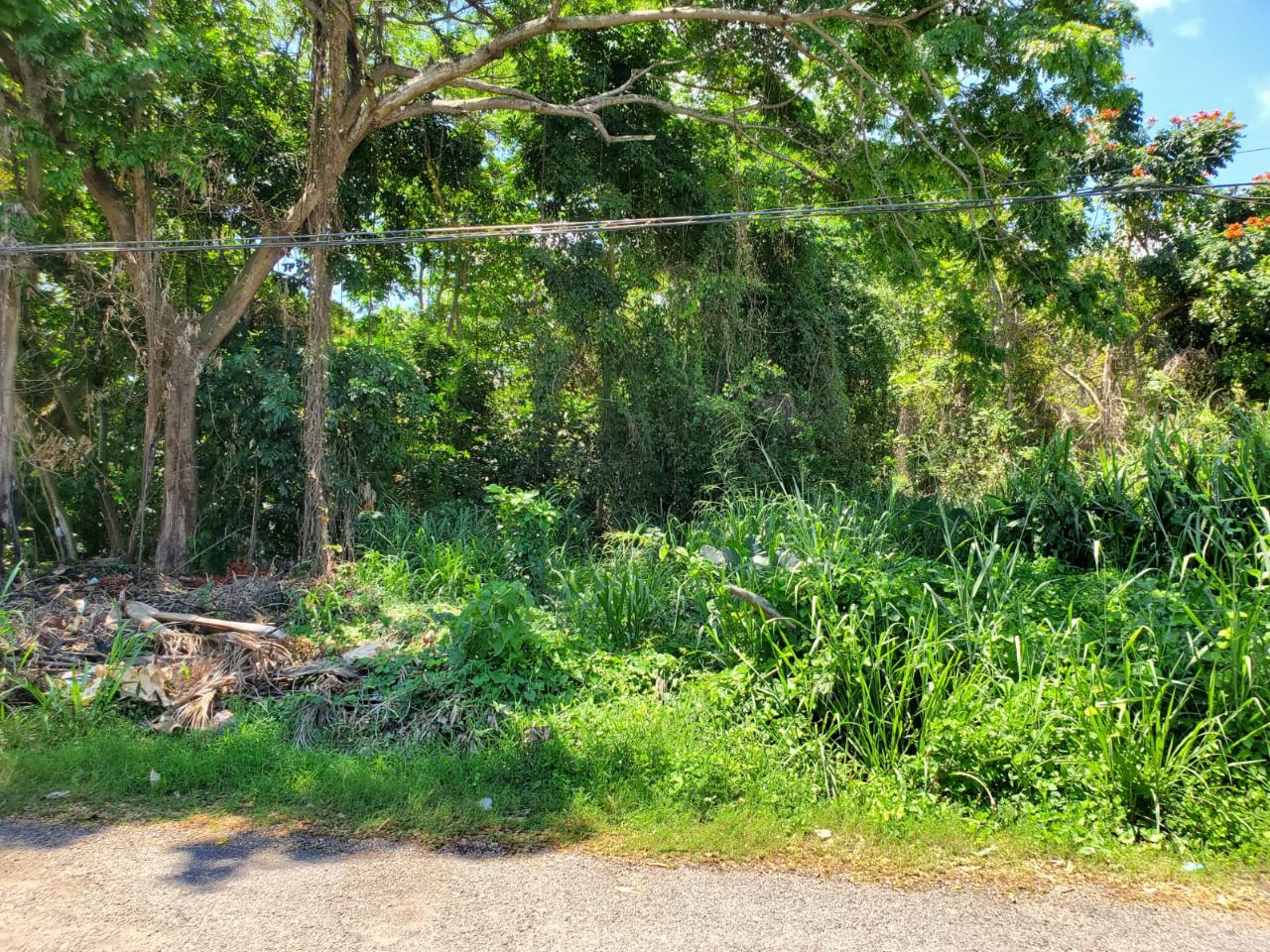 Second image of Pimento Drive, Balmoral in Tower Isle, St. Mary, Jamaica - property is For Sale