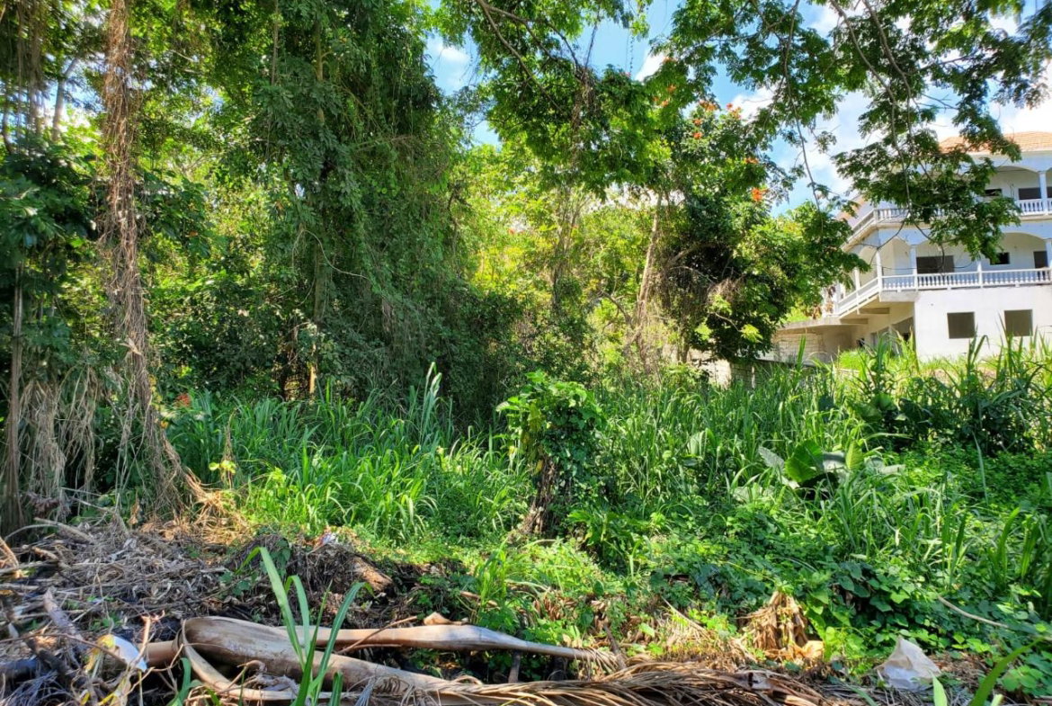Third image of Pimento Drive, Balmoral in Tower Isle, St. Mary, Jamaica - property is For Sale