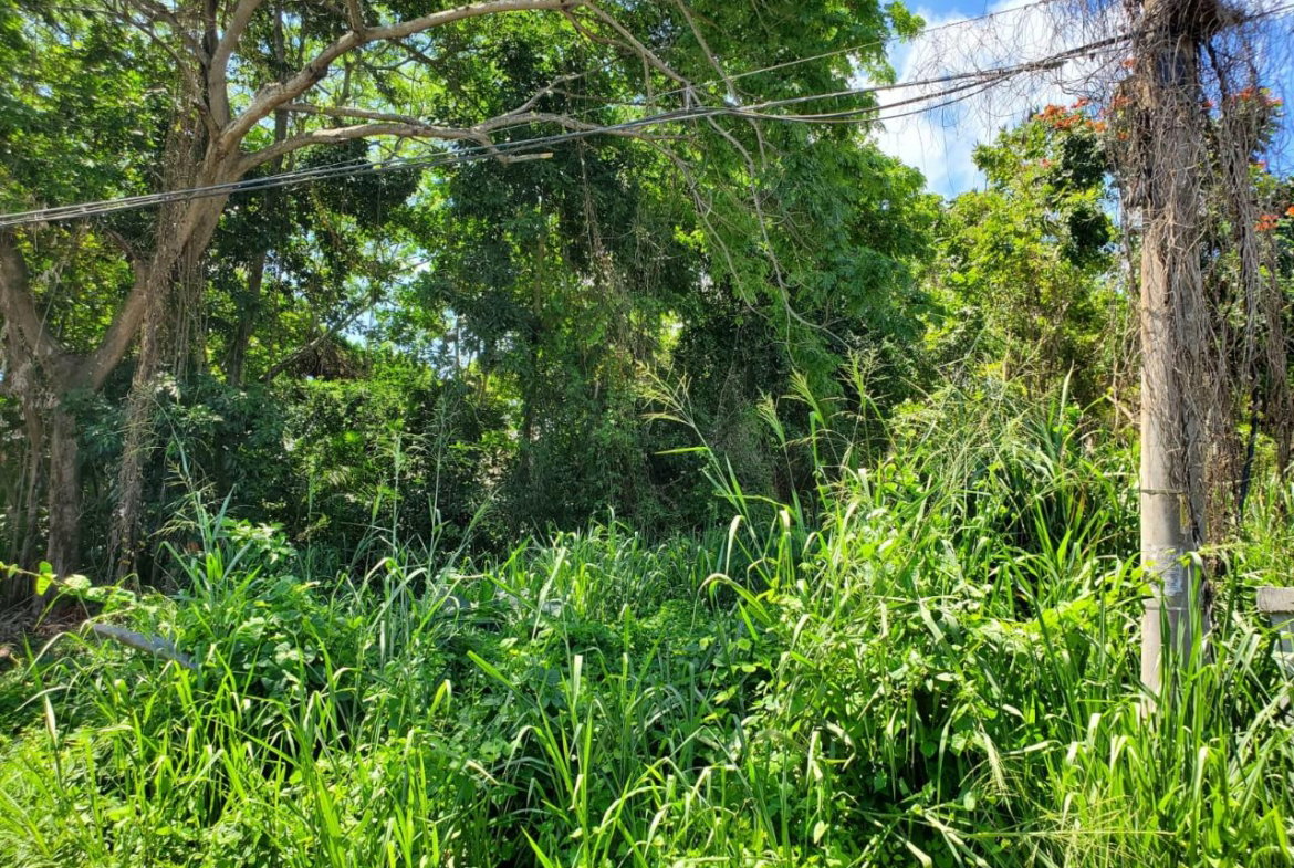 Fourth image of Pimento Drive, Balmoral in Tower Isle, St. Mary, Jamaica - property is For Sale