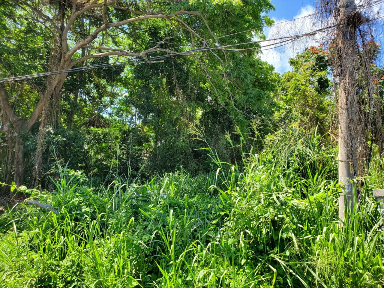 Fourth image of Pimento Drive, Balmoral in Tower Isle, St. Mary, Jamaica - property is For Sale