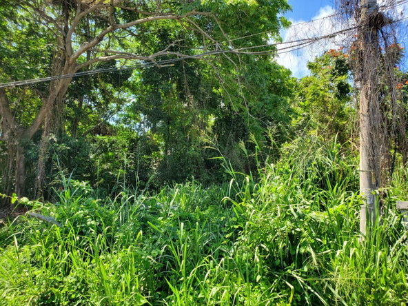 Fourth image of Pimento Drive, Balmoral in Tower Isle, St. Mary, Jamaica - property is For Sale