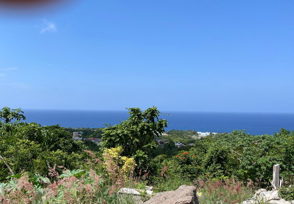Fifth image of Lot # 25 Boscobel Heights in Boscobel, St. Mary, Jamaica - property is For Sale