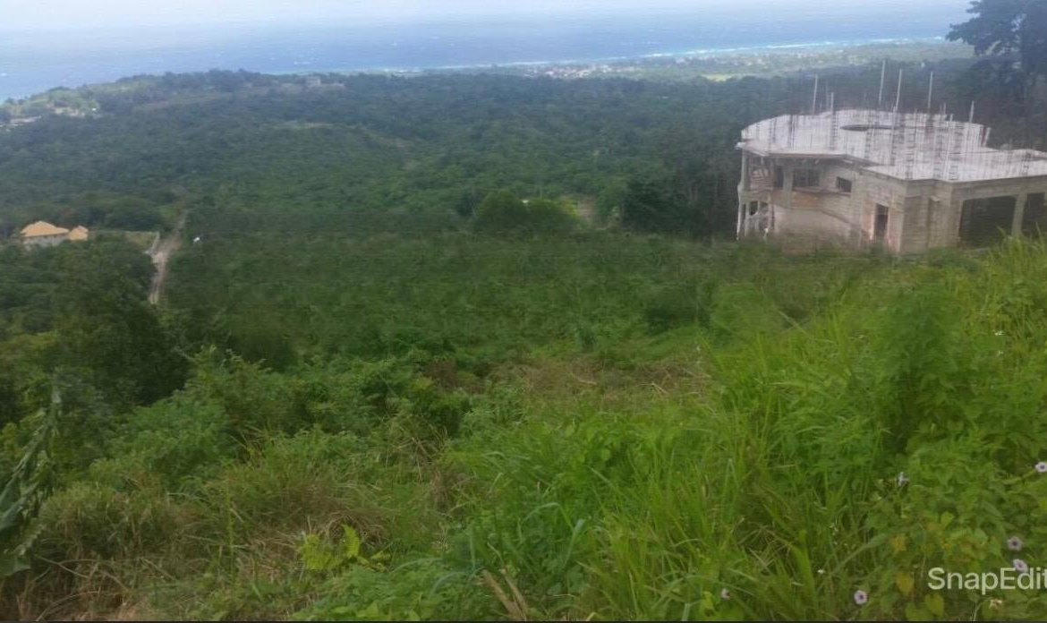 Second image of 313b Cardiff Hall Plantation in Runaway Bay, St. Ann, Jamaica - property is For Sale