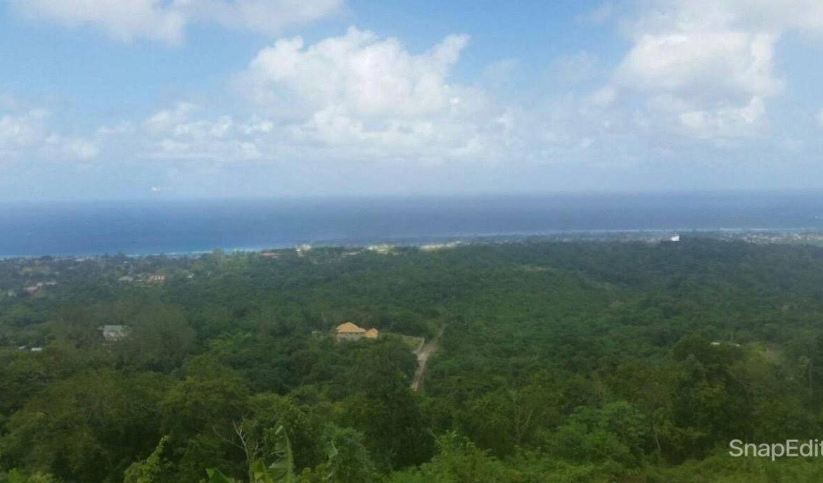 First image of 313b Cardiff Hall Plantation in Runaway Bay, St. Ann, Jamaica - property is For Sale
