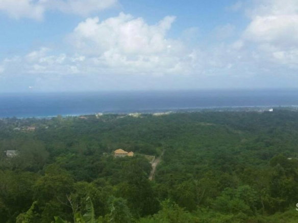 First image of 313b Cardiff Hall Plantation in Runaway Bay, St. Ann, Jamaica - property is For Sale