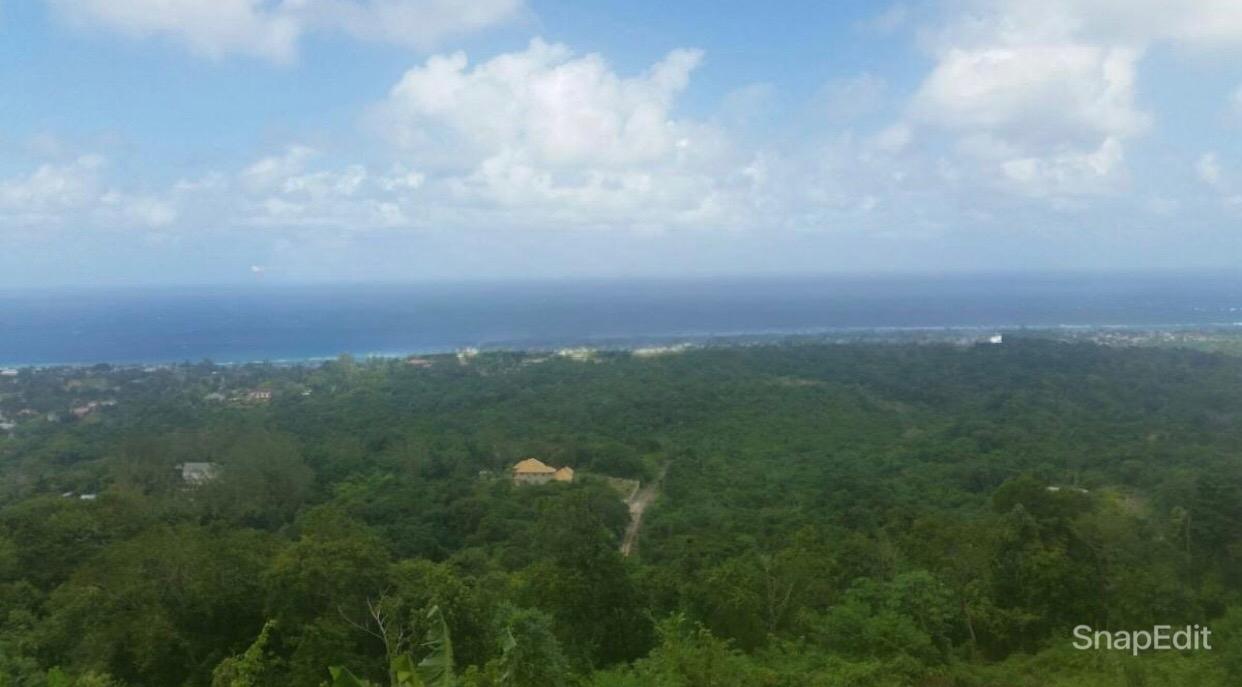 Ocean-View-Residential-Lot-for-Sale-in-Cardiff-Hall-Jamaica First image of 313b Cardiff Hall Plantation in Runaway Bay, St. Ann, Jamaica - property is For Sale