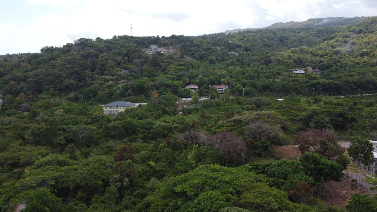 Fifteenth image of 115- Cardiff Hall in Runaway Bay, St. Ann, Jamaica - property is For Sale