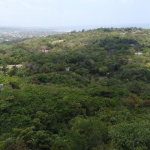 First image of 115- Cardiff Hall in Runaway Bay, St. Ann, Jamaica - property is For Sale