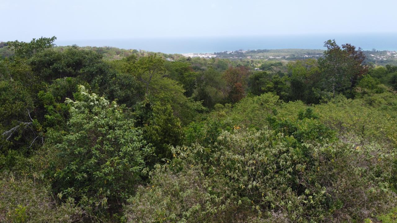 Third image of 115- Cardiff Hall in Runaway Bay, St. Ann, Jamaica - property is For Sale