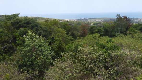 Third image of 115- Cardiff Hall in Runaway Bay, St. Ann, Jamaica - property is For Sale