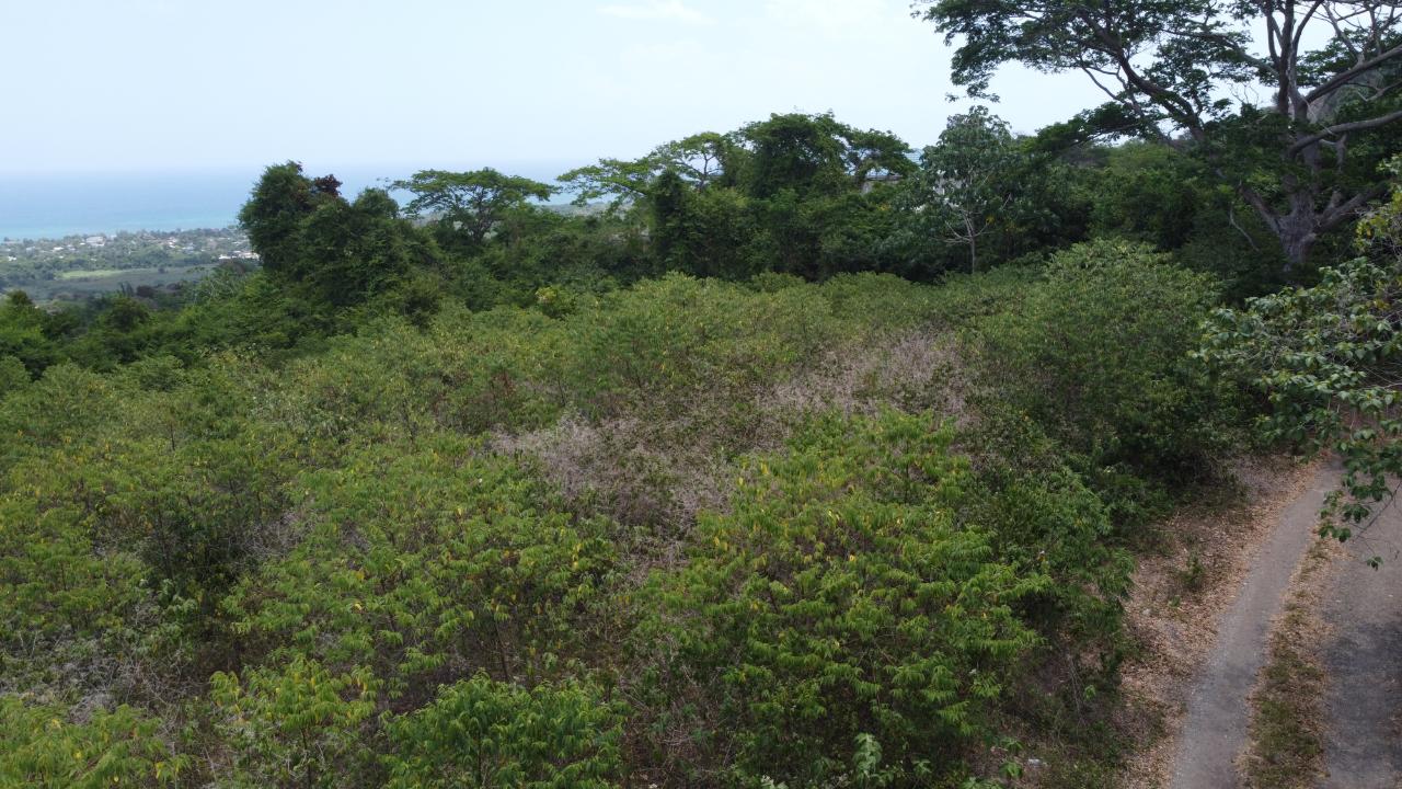 Fourth image of 115- Cardiff Hall in Runaway Bay, St. Ann, Jamaica - property is For Sale