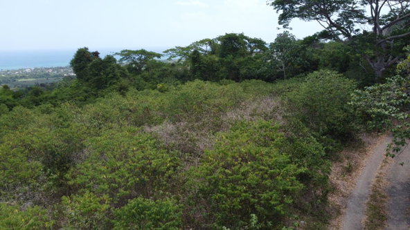 Fourth image of 115- Cardiff Hall in Runaway Bay, St. Ann, Jamaica - property is For Sale